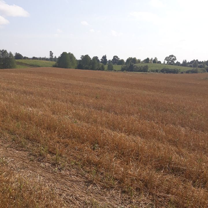 Działka rolno-budowlana Bałamutowo. Zdjęcie 9