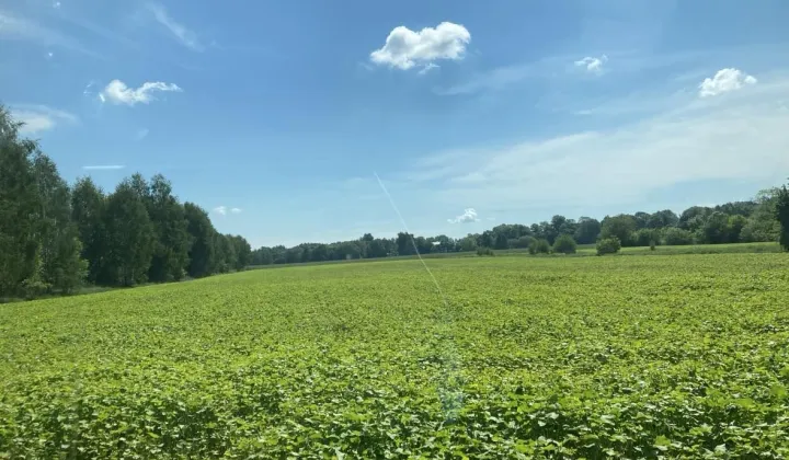 Działka rolna Garnek, ul. Błonie