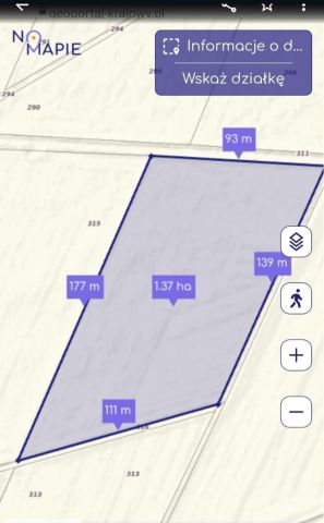 Działka siedliskowa Bieżyce. Zdjęcie 1