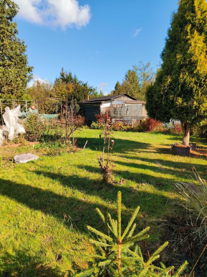 Działka rod Łódź Polesie, ul. Krakowska. Zdjęcie 8