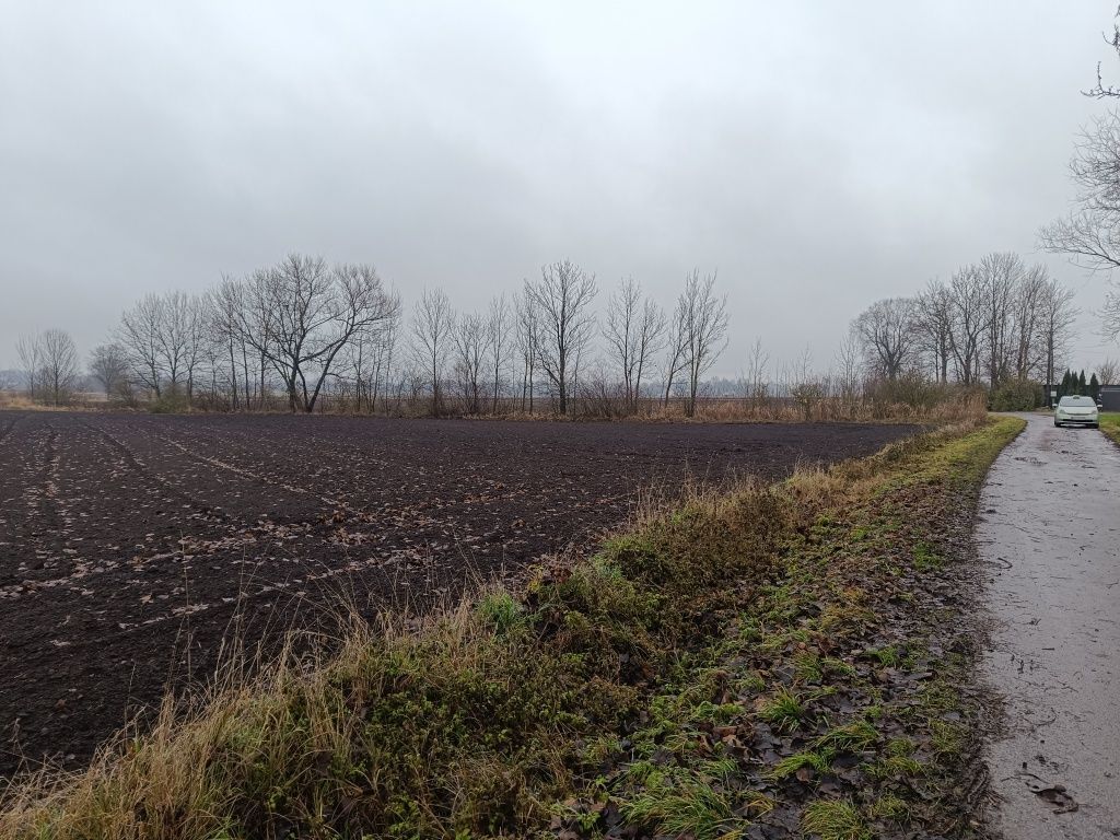 Działka budowlana Wierzbica. Zdjęcie 7