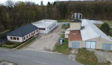 Nieruchomość komercyjna Margońska Wieś