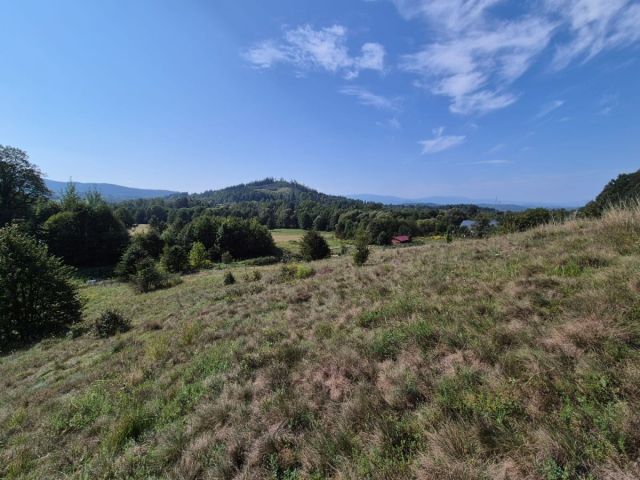 Działka inwestycyjna Karpniki. Zdjęcie 11