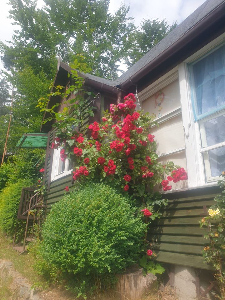 dom letniskowy, 2 pokoje Parchowo Zielony Dwór, Zielony dwór. Zdjęcie 11