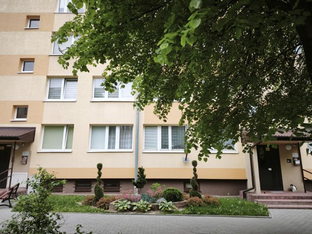 Mieszkanie 3-pokojowe Bełchatów, os. 1 Maja. Zdjęcie 8