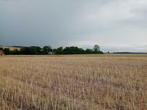 Działka rolna Zaryszyn. Zdjęcie 3