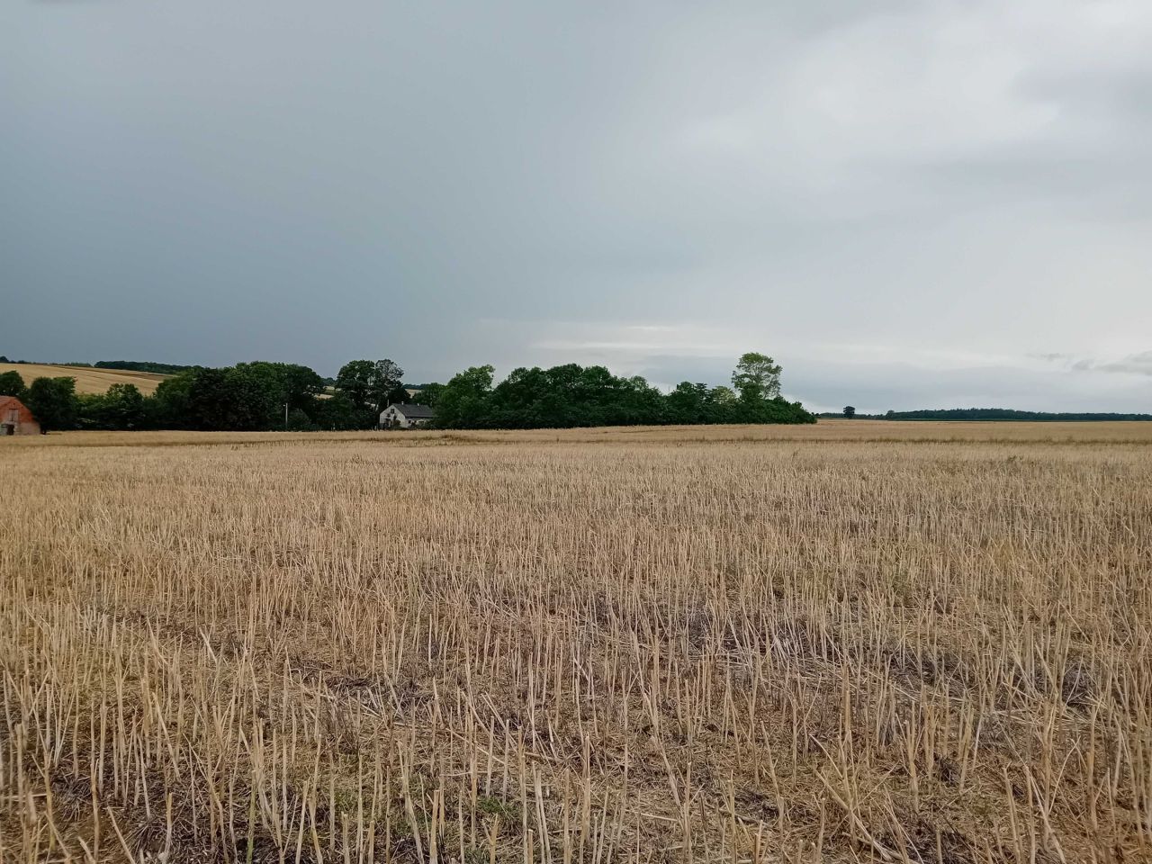 Działka rolna Zaryszyn. Zdjęcie 4