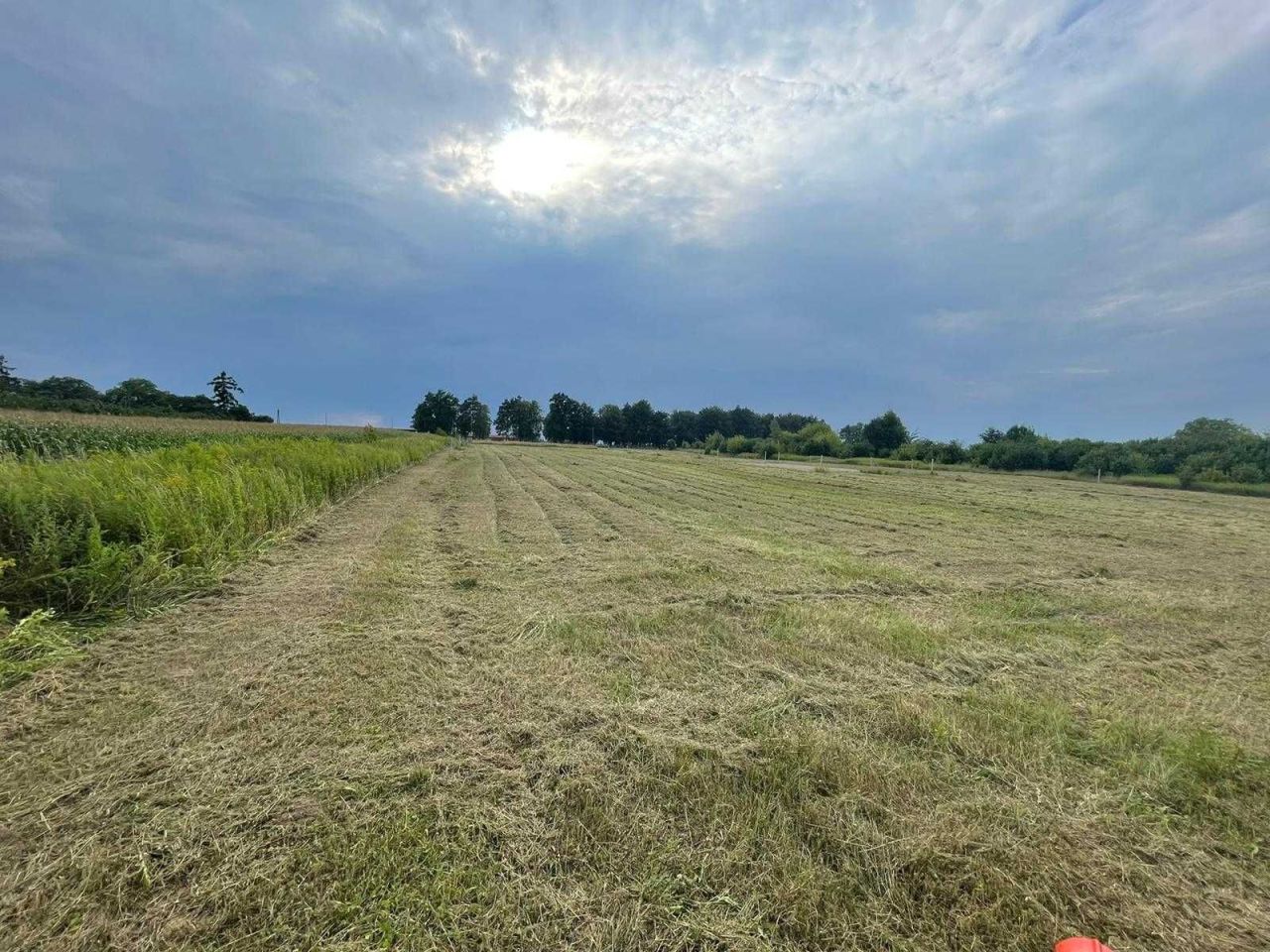 Działka budowlana Sandomierz, ul. Stara Prochownia. Zdjęcie 2