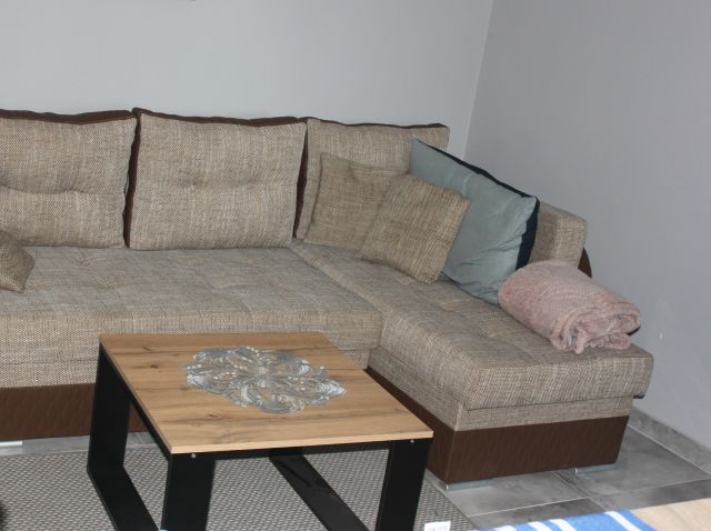 Działka rod Międzyzdroje, stokrotki. Zdjęcie 11