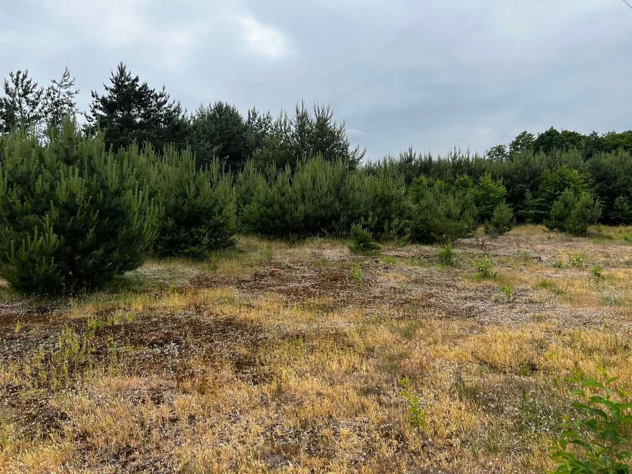 Działka budowlana Łąkie, Łąkie. Zdjęcie 10