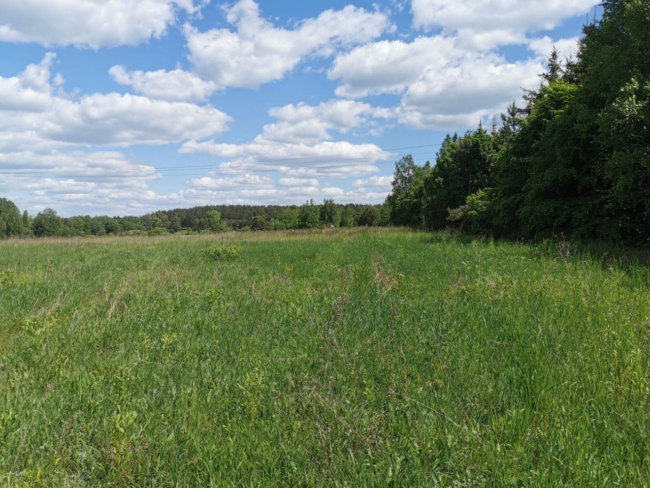 Działka rolno-budowlana Komorowo. Zdjęcie 6