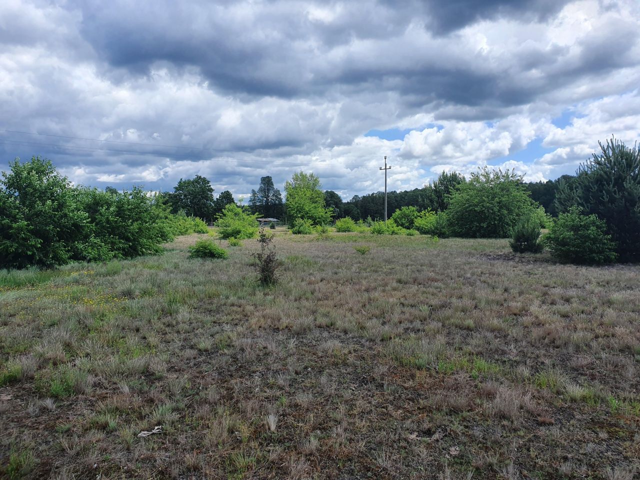 Działka budowlana Kępa Niemojewska. Zdjęcie 8