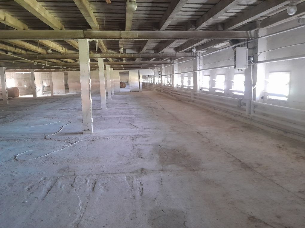 Hala/magazyn Tursko. Zdjęcie 4