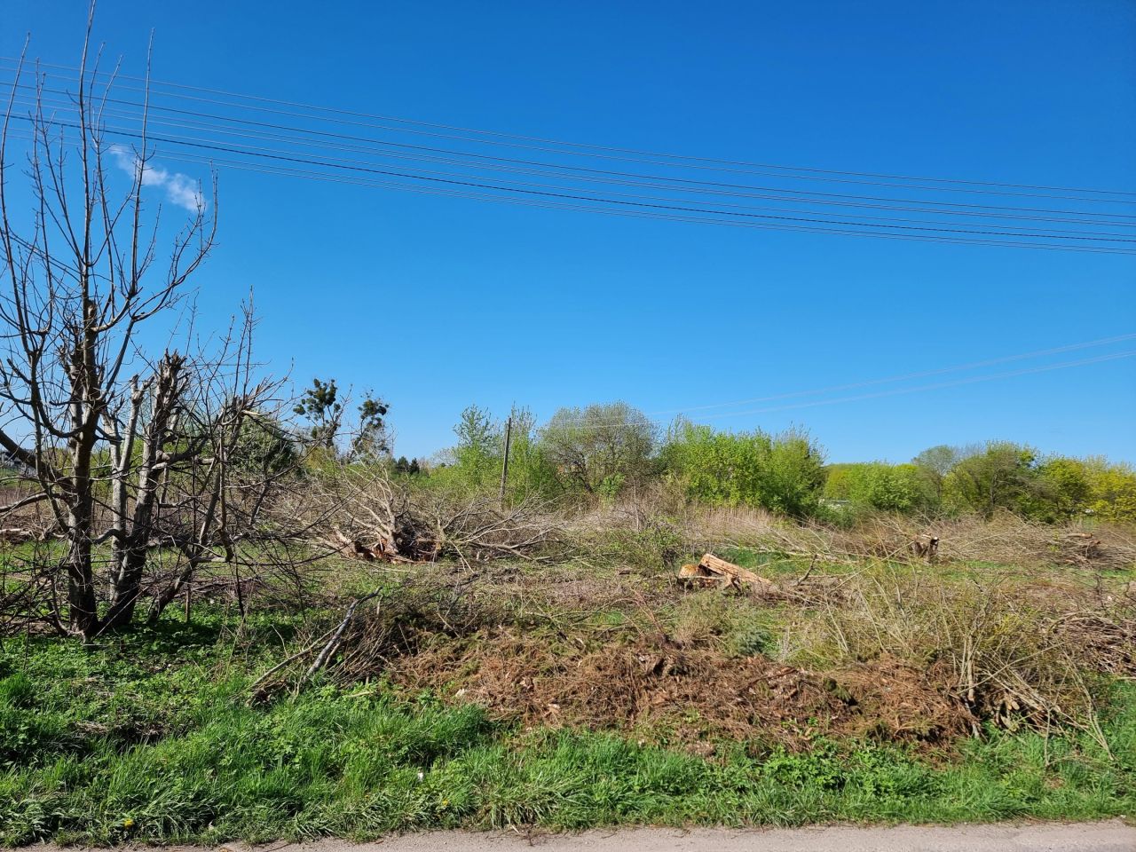 Działka rolno-budowlana Orneta, ul. Morąska. Zdjęcie 8