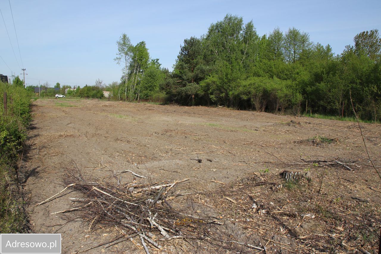 Działka budowlana Bielicha. Zdjęcie 8