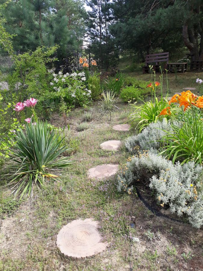 dom wolnostojący, 3 pokoje Brzóze Duże. Zdjęcie 5