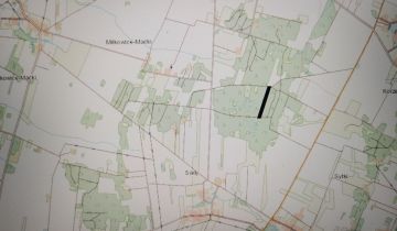 Działka leśna Sady