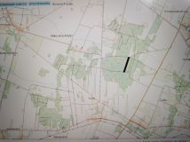 Działka leśna Sady. Zdjęcie 1