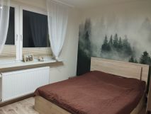 dom wolnostojący Zawiercie Centrum. Zdjęcie 3