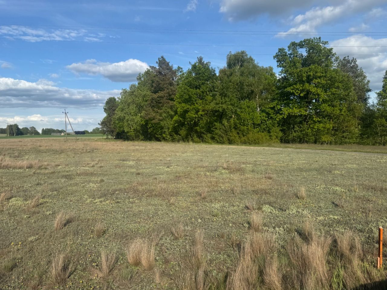 Działka budowlana Będźmierowice. Zdjęcie 4