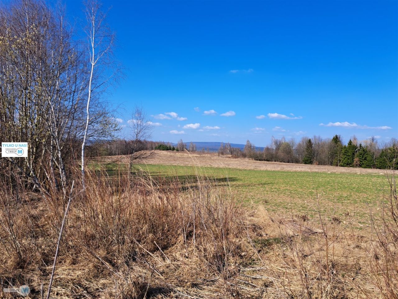 Działka budowlana Łagów. Zdjęcie 1