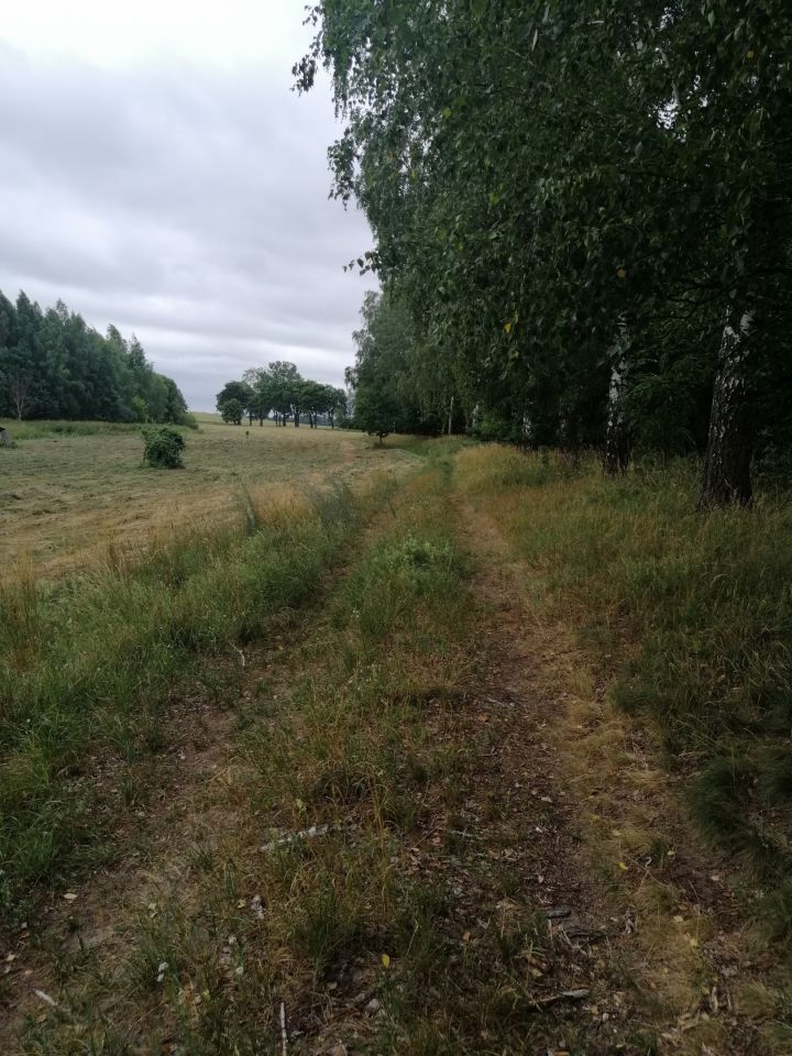 Działka rekreacyjna Szymonka. Zdjęcie 7
