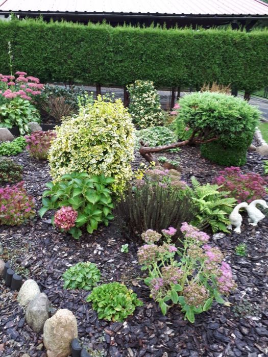 Działka rod Gdańsk Klukowo, ul. Meteorytowa. Zdjęcie 7