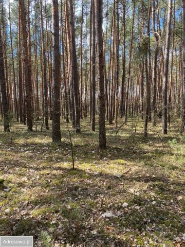 Działka rekreacyjna Osiedle Wilga, ul. Konwaliowa. Zdjęcie 1