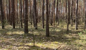 Działka rekreacyjna Osiedle Wilga, ul. Konwaliowa
