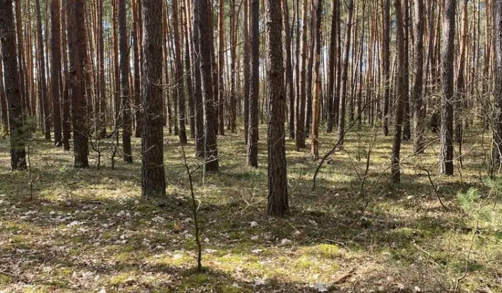 Działka rekreacyjna Osiedle Wilga, ul. Konwaliowa
