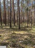 Działka rekreacyjna Osiedle Wilga, ul. Konwaliowa