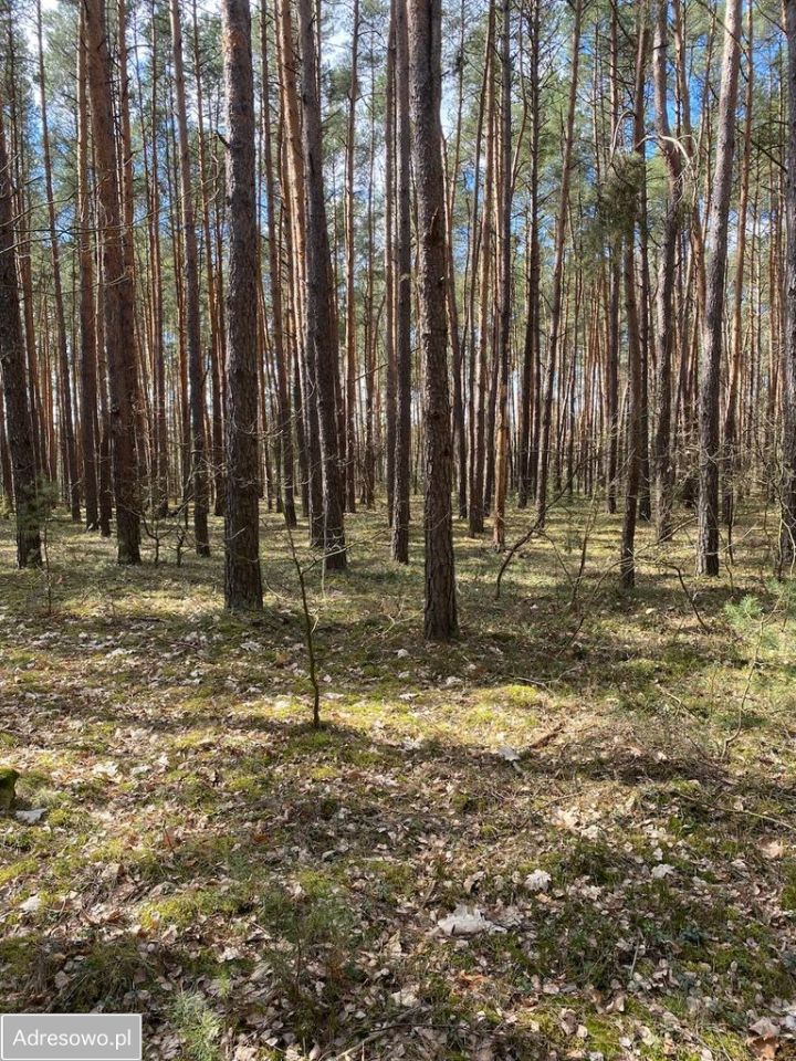 Działka rekreacyjna Osiedle Wilga, ul. Konwaliowa