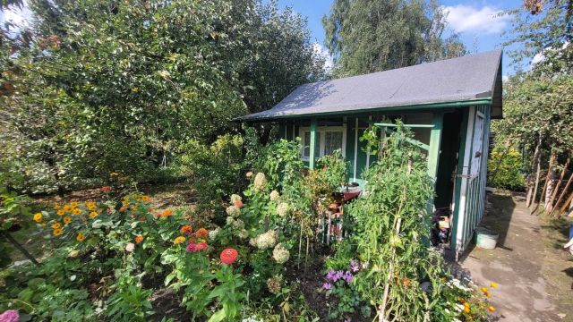 Działka rod Wrocław Psie Pole, ul. Poświęcka. Zdjęcie 1