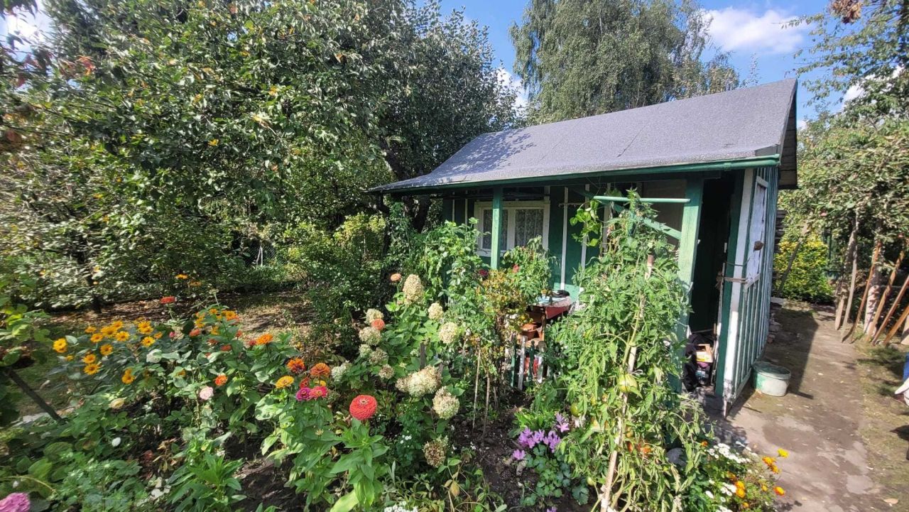 Działka rod Wrocław Psie Pole, ul. Poświęcka