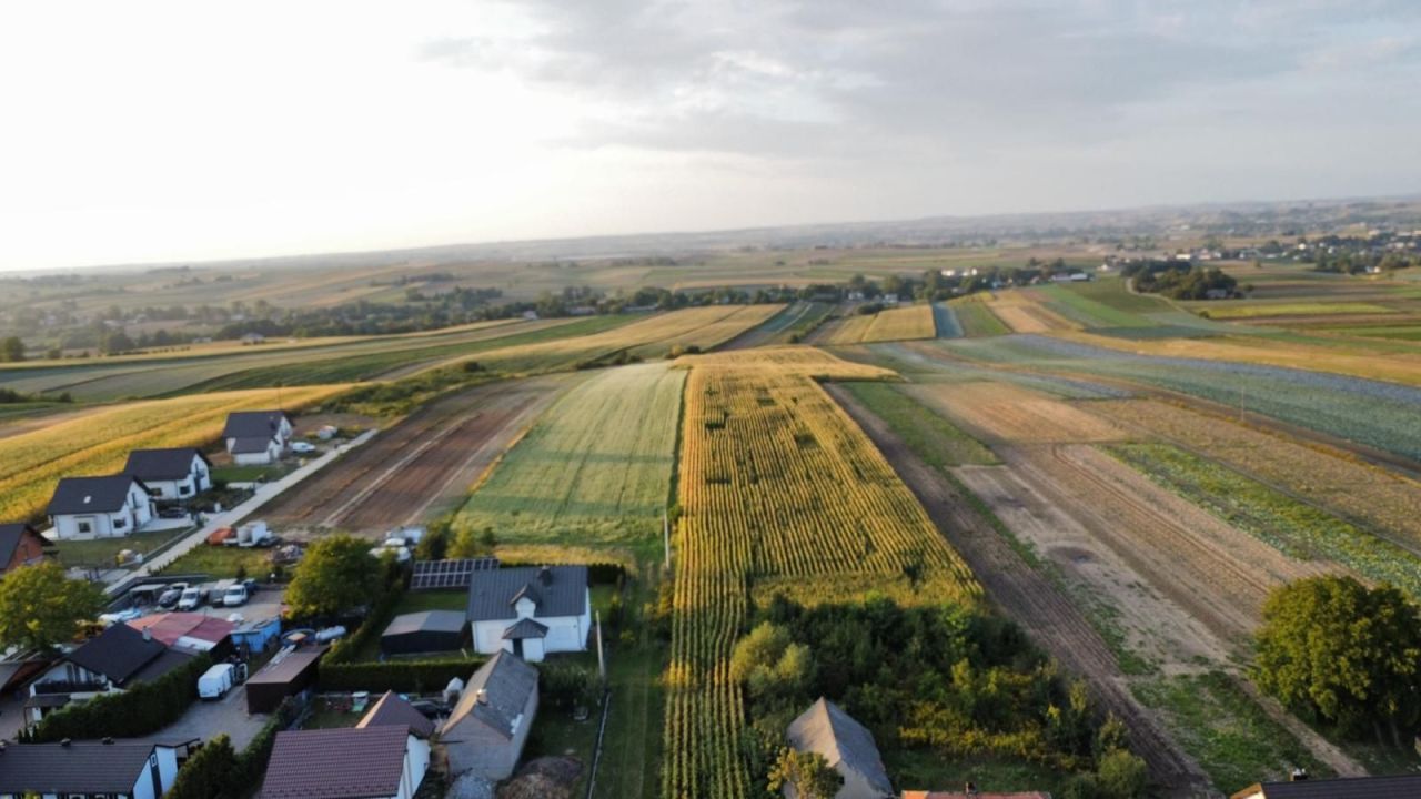 Działka rolno-budowlana Polekarcice. Zdjęcie 1