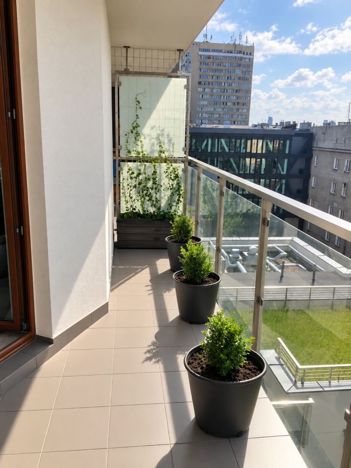 Mieszkanie 2-pokojowe Warszawa Praga-Północ, ul. Kijowska. Zdjęcie 17