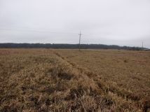 Działka rolna Tabor. Zdjęcie 1