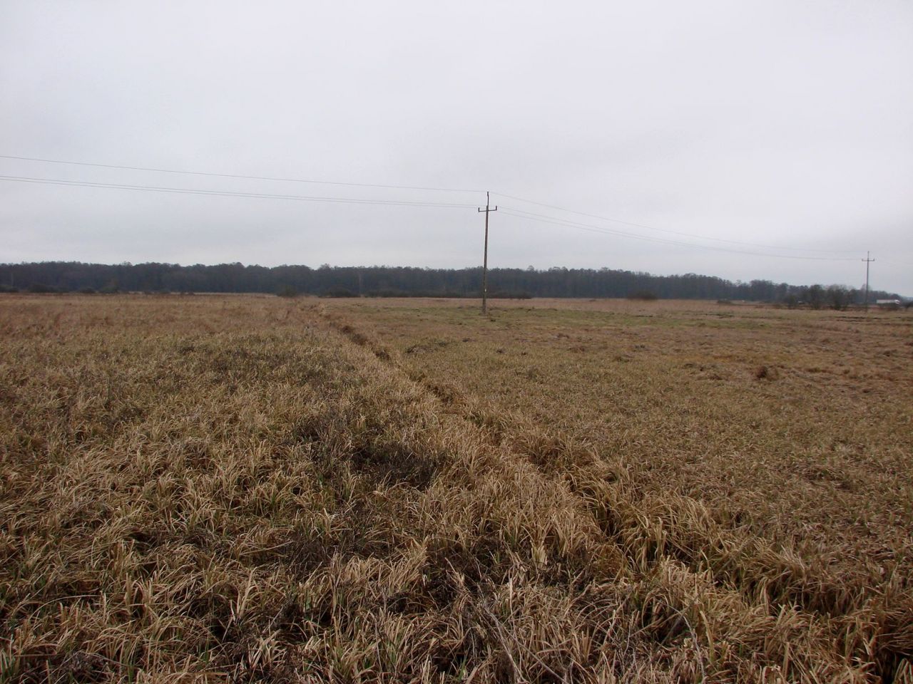 Działka rolna Tabor. Zdjęcie 2