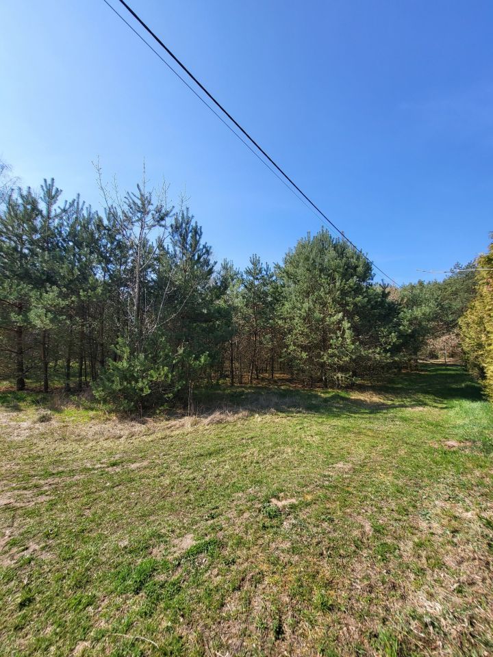 Działka rekreacyjna Królewo