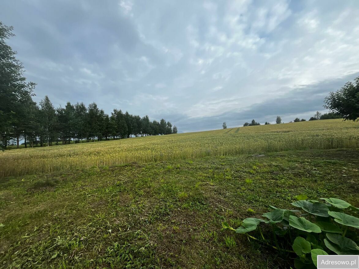 Działka rolna Wilkiejmy. Zdjęcie 9