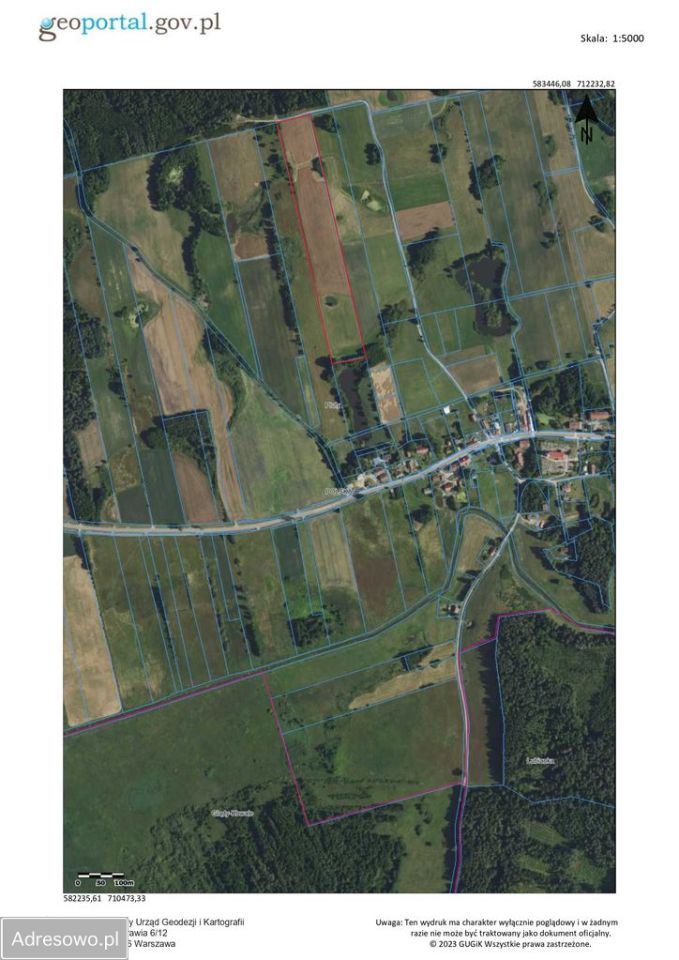 Działka rolna Pluty. Zdjęcie 10