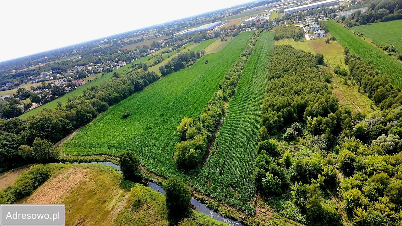 Działka inwestycyjna Natolin. Zdjęcie 11