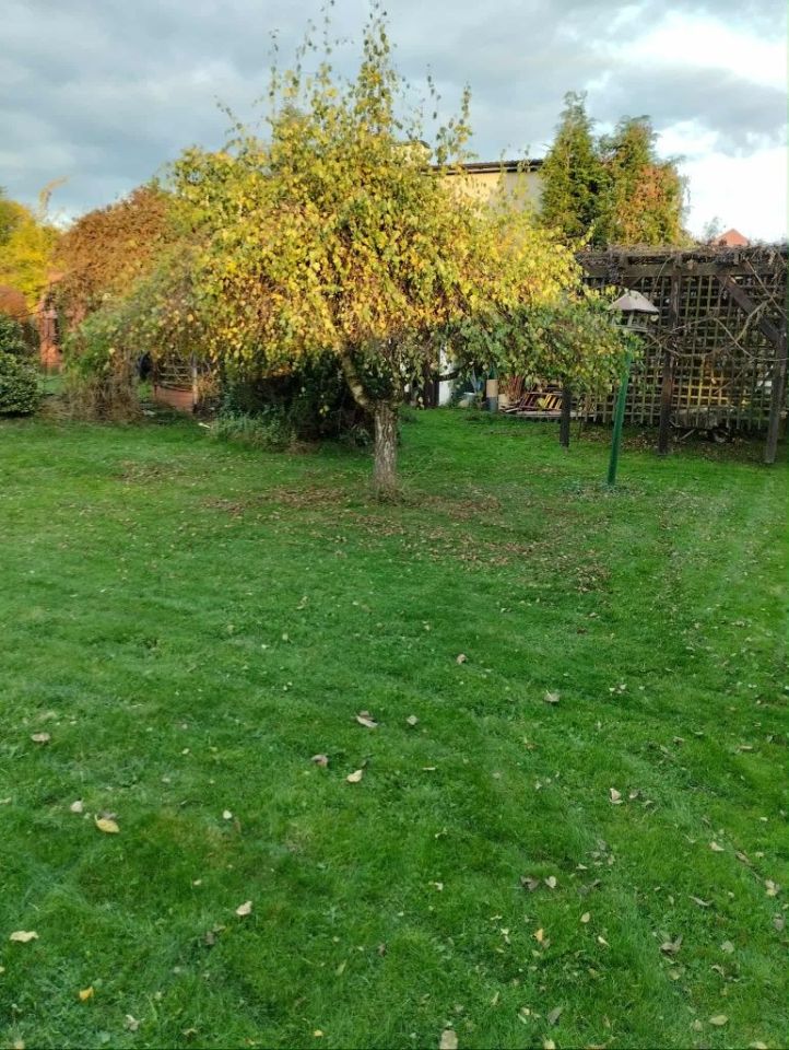 Działka budowlana Starachowice, ul. Żytnia. Zdjęcie 6