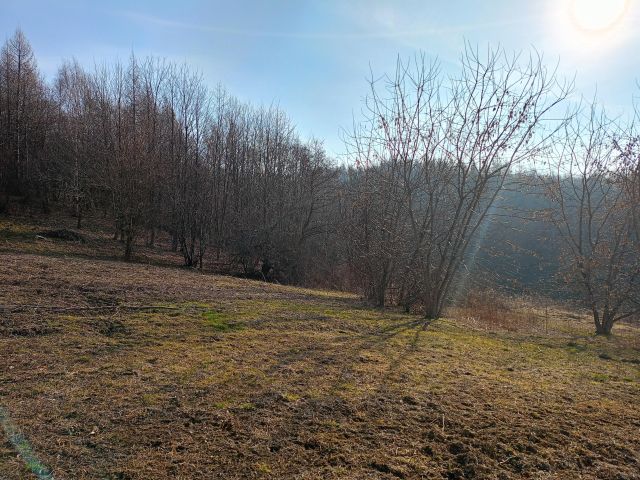 Działka rolno-budowlana Zaborów. Zdjęcie 1