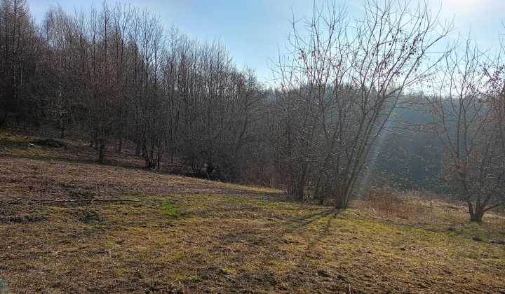 Działka rolno-budowlana Zaborów