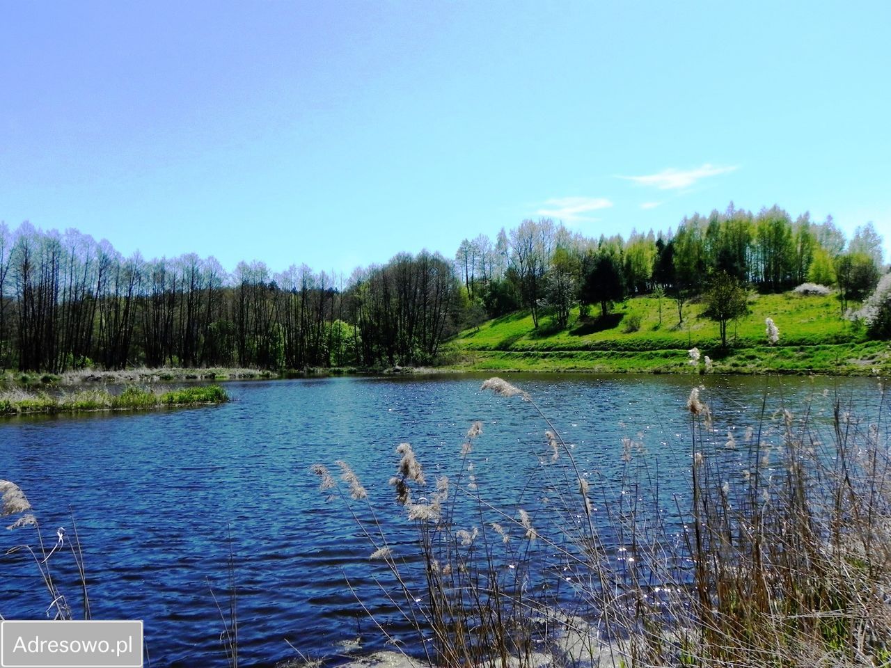 Działka rolno-budowlana Chrostkowo. Zdjęcie 5