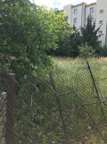 Działka budowlana Grójec, ul. Lewiczyńska. Zdjęcie 2