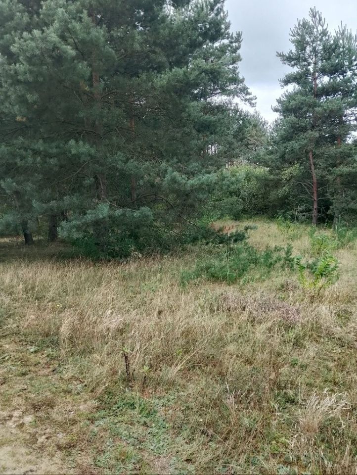 Działka budowlana Dąbrowa Górnicza Ujejsce, ul. Karsowska. Zdjęcie 3