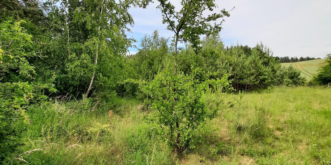 Działka budowlana Nowe Miasto Lubawskie Kornatki. Zdjęcie 10