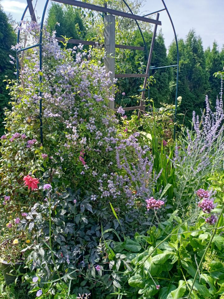 Działka rekreacyjna Wrocław Bierdzany, ul. Nizinna. Zdjęcie 10